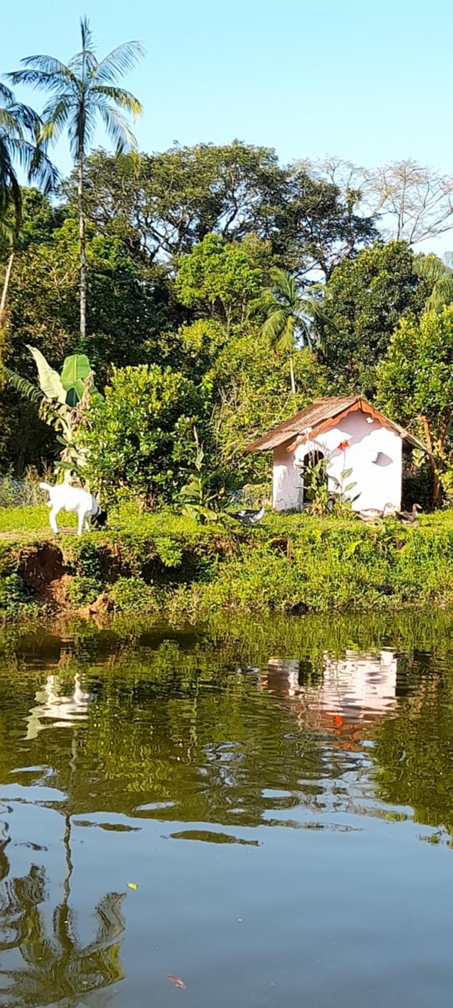 Pousada Ecologica Cavalo De Pedra Peruíbe Eksteriør billede
