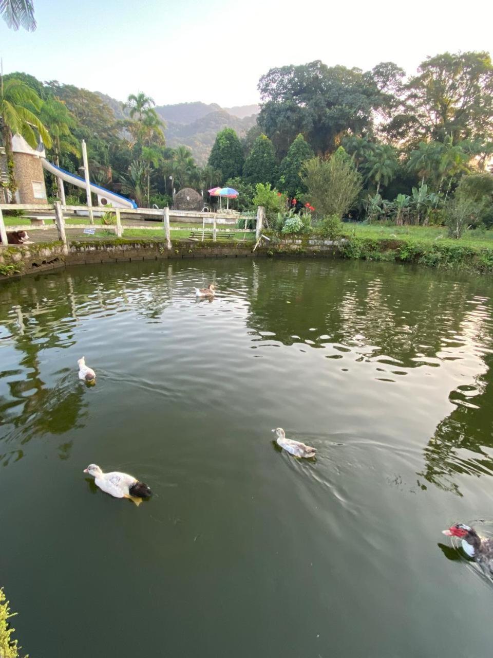 Pousada Ecologica Cavalo De Pedra Peruíbe Værelse billede